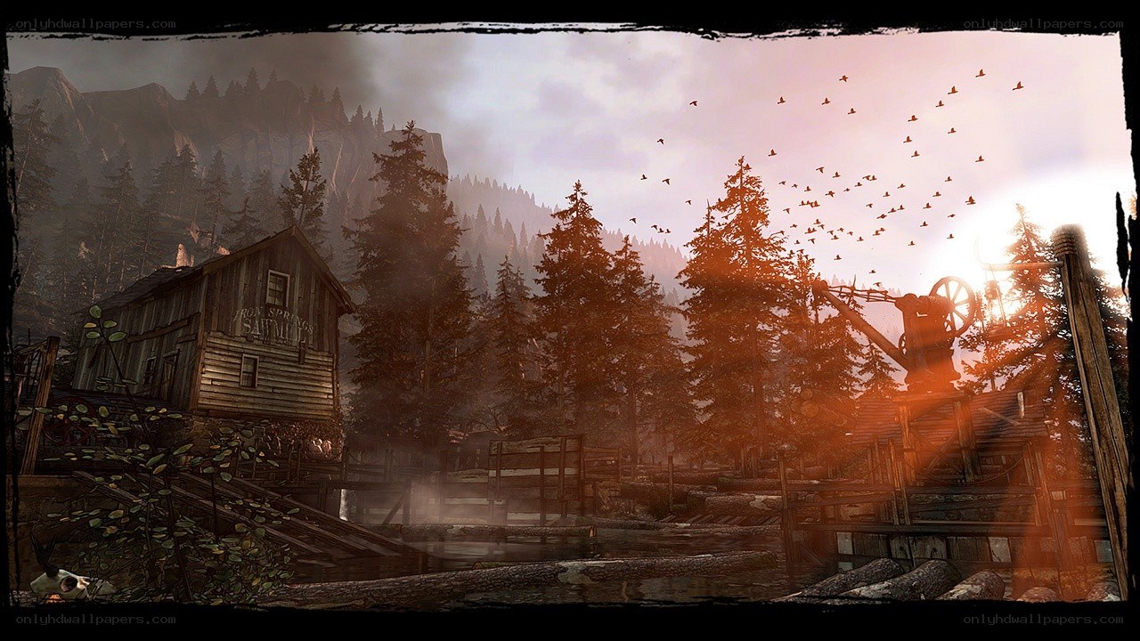 Sawmill in a forested valley