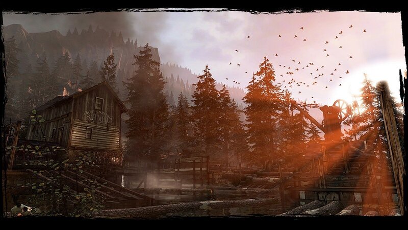 Sawmill in Forest