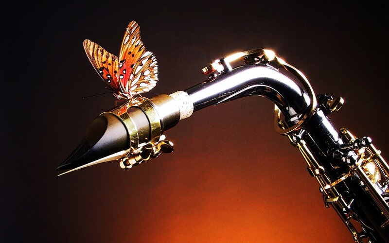 saxophone with butterfly