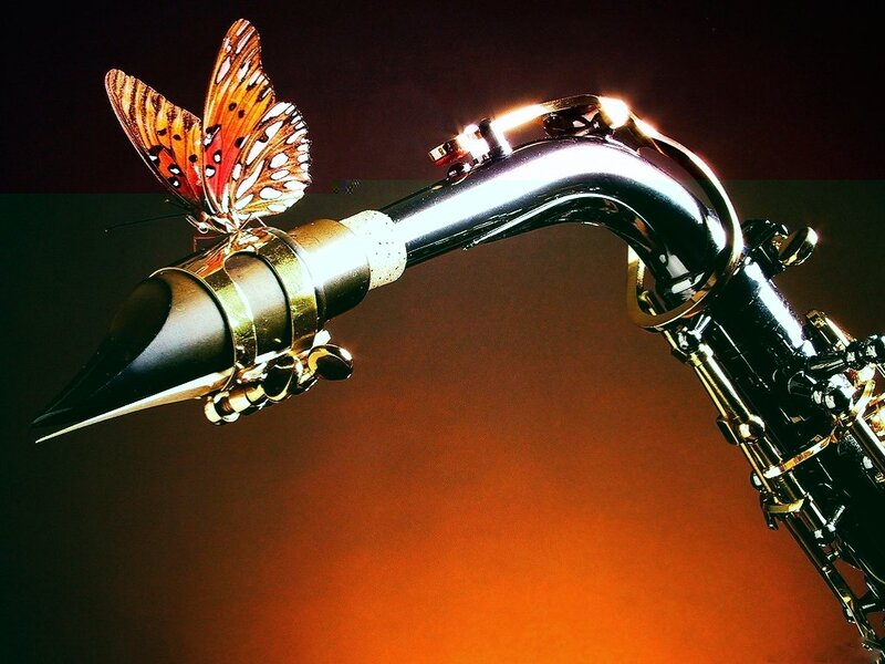 Saxophone with Butterfly — Black, Dramatic