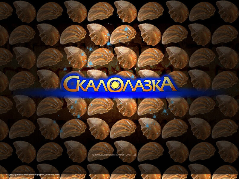 Scallop Shell Pattern Background