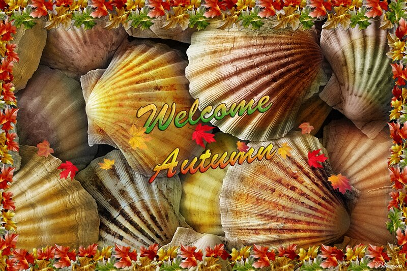 Scallop Shells with Autumn Leaves