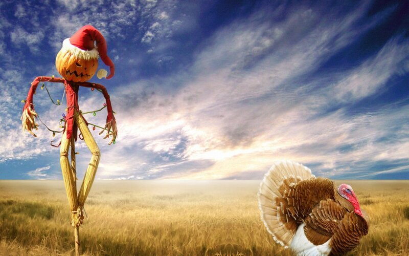 Scarecrow and Turkey — Blue, Dramatic, Sunset
