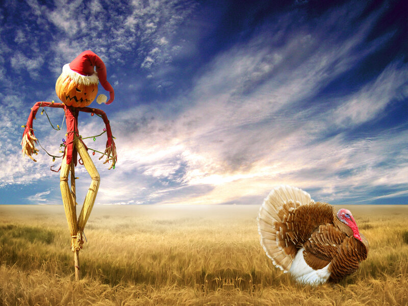 Scarecrow and Turkey — Blue
