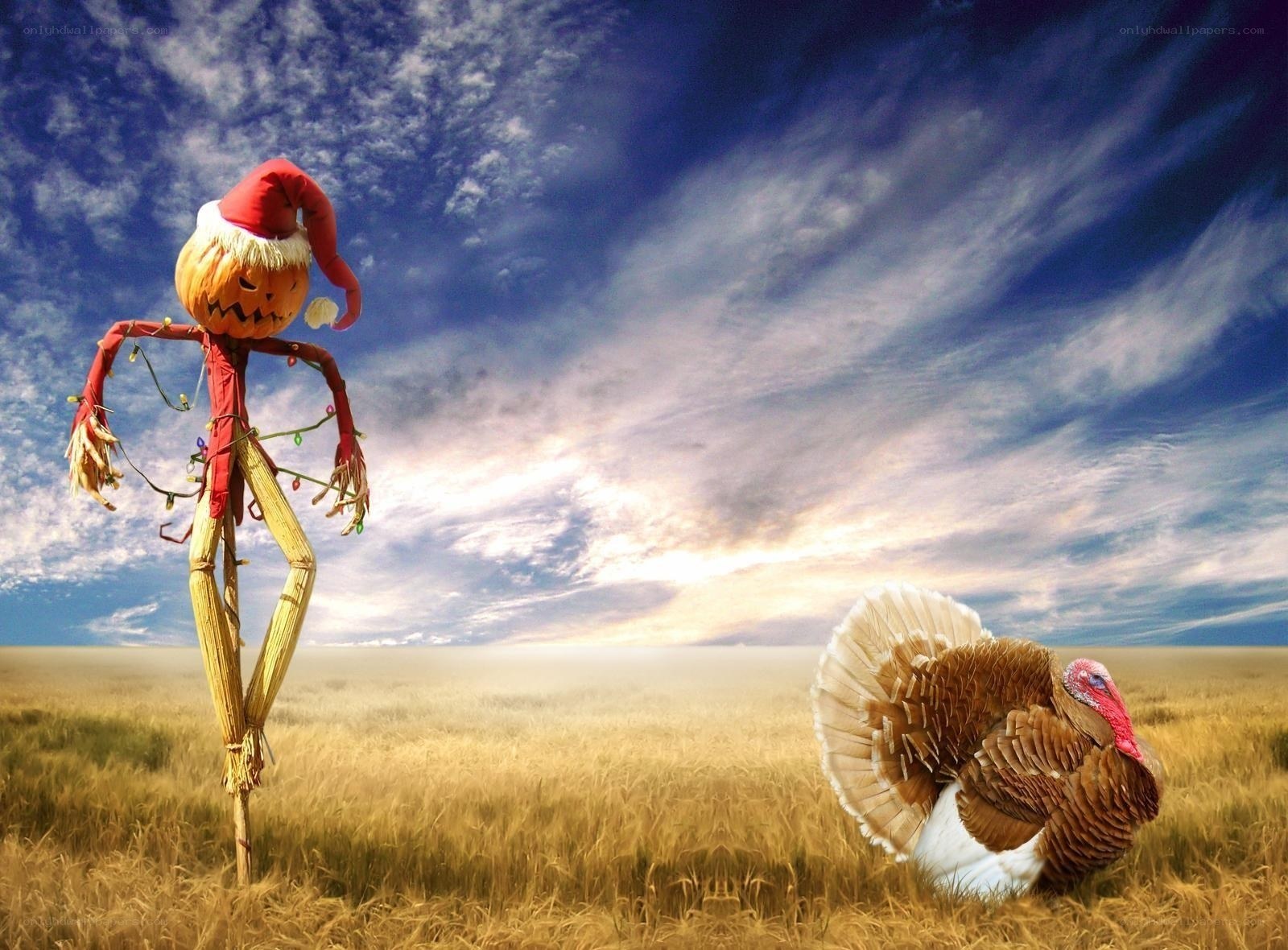 Scarecrow and turkey in field
