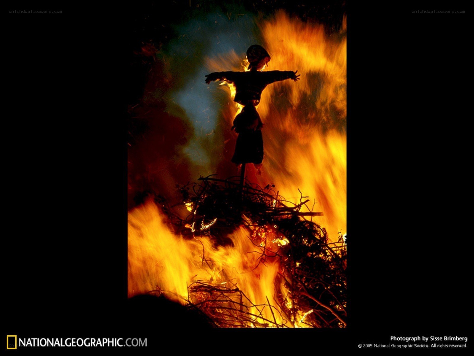 Scarecrow burning in a bonfire