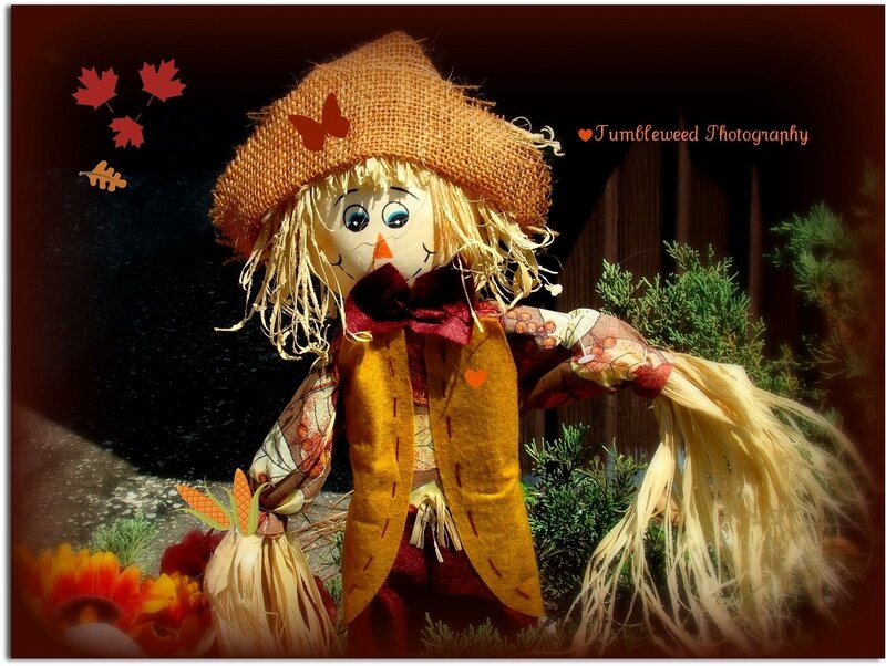 Scarecrow Doll — Brown