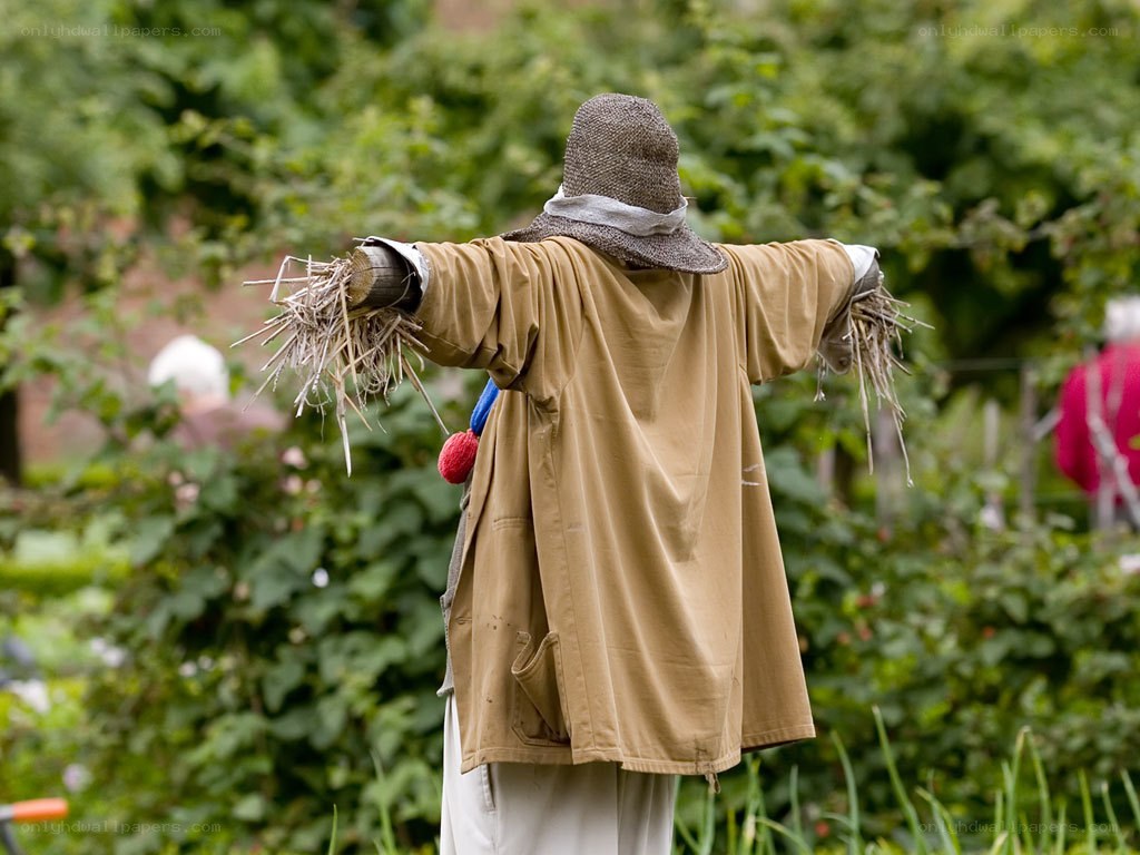 Scarecrow in a garden