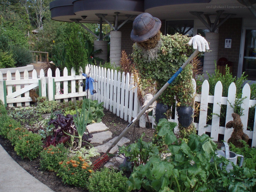 Scarecrow in a garden
