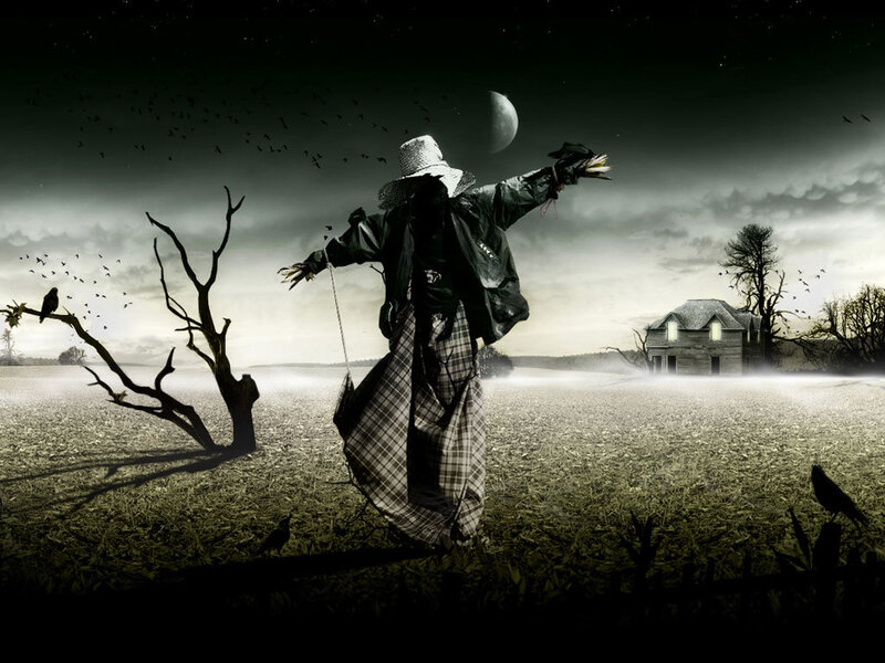 Scarecrow in a haunted field