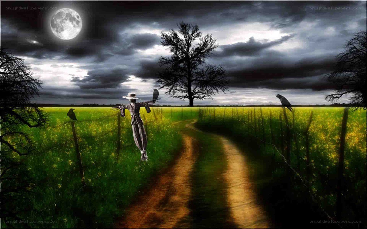 Scarecrow in a moonlit field