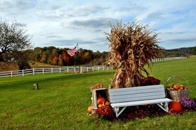 Scarecrow in Autumn Display — Green