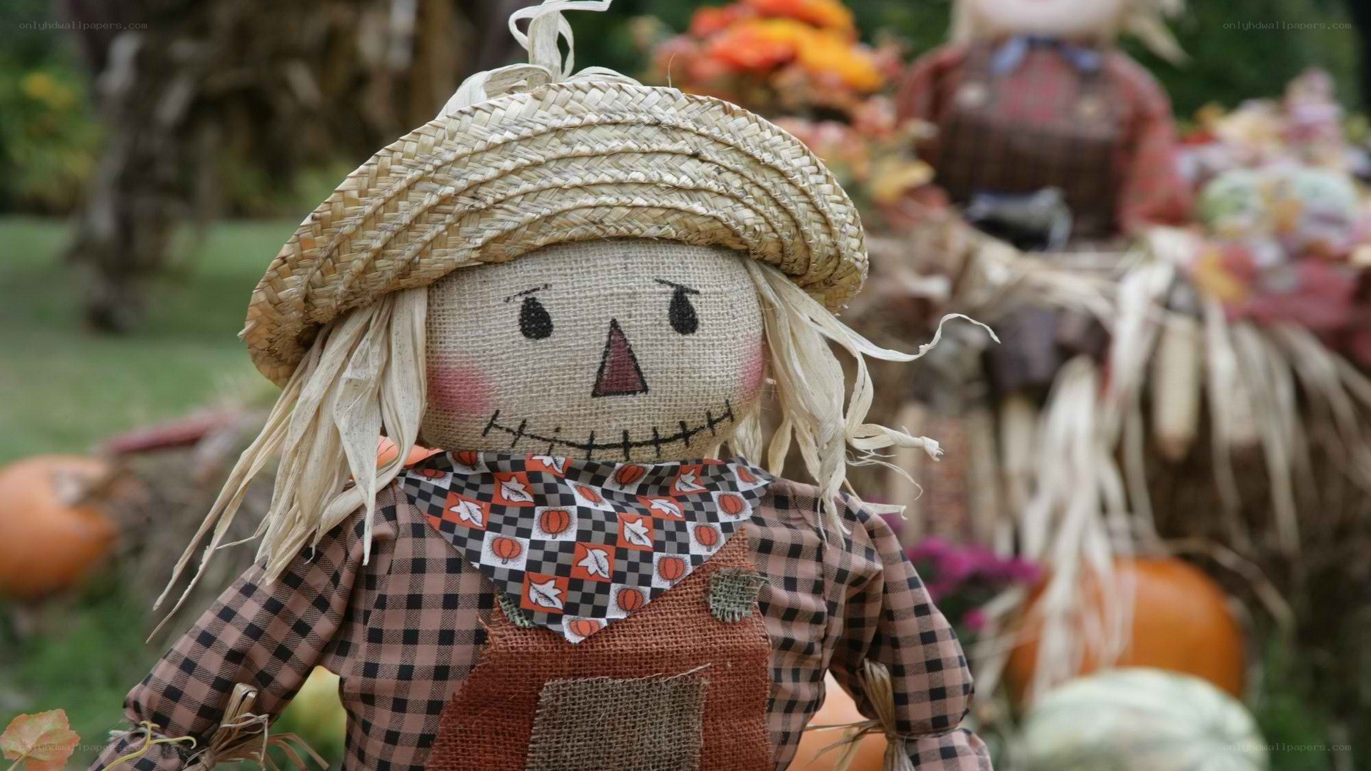 Scarecrow in autumn display