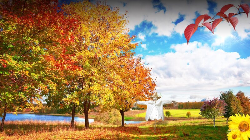 Scarecrow in Autumn Field