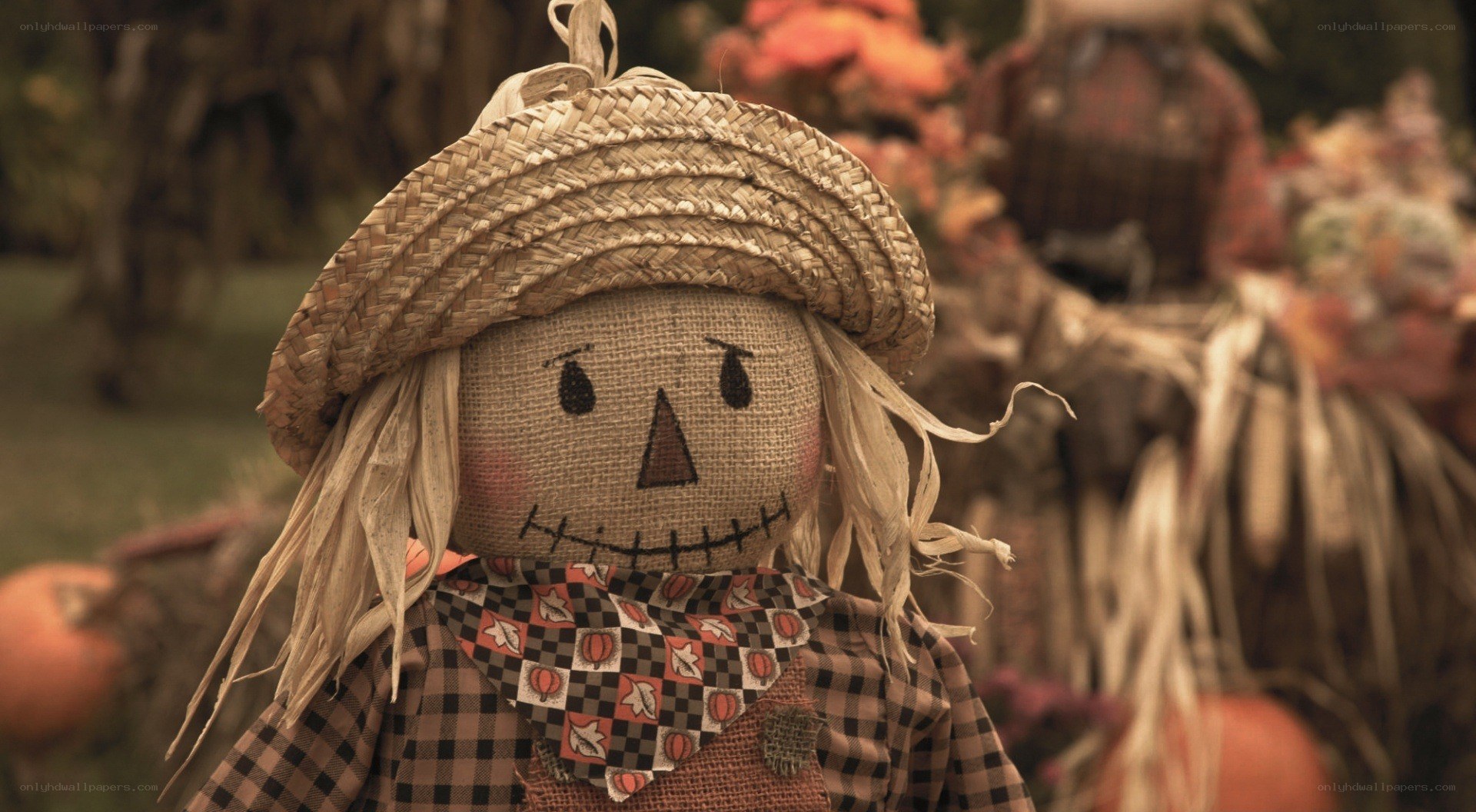 Scarecrow in autumn setting