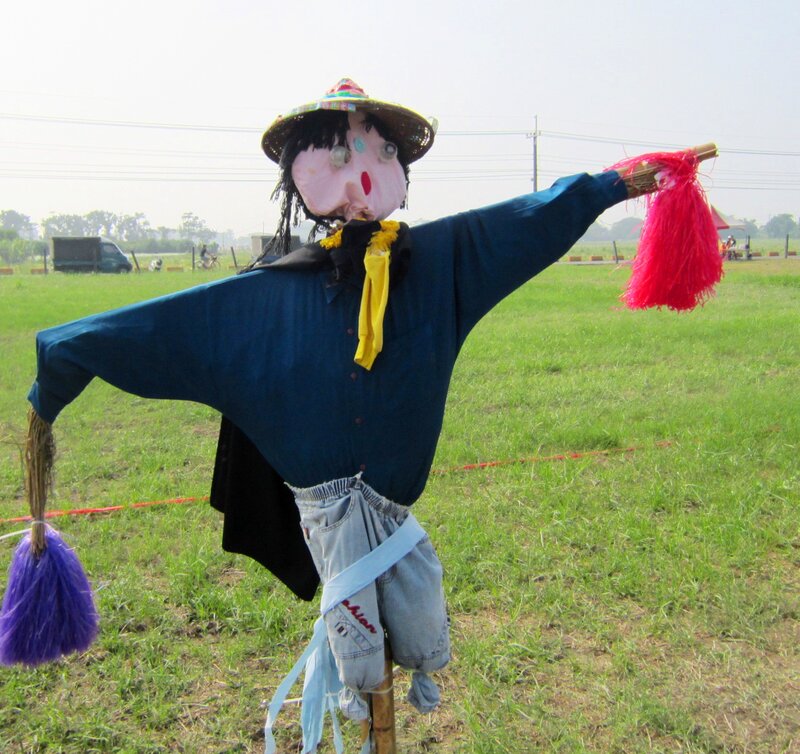 Scarecrow in Field — Green, Outdoor