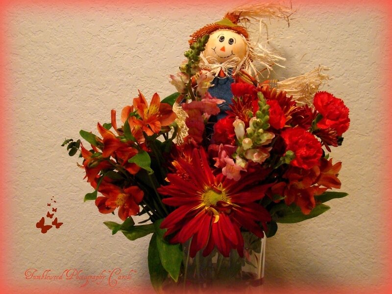 Scarecrow in Flower Bouquet
