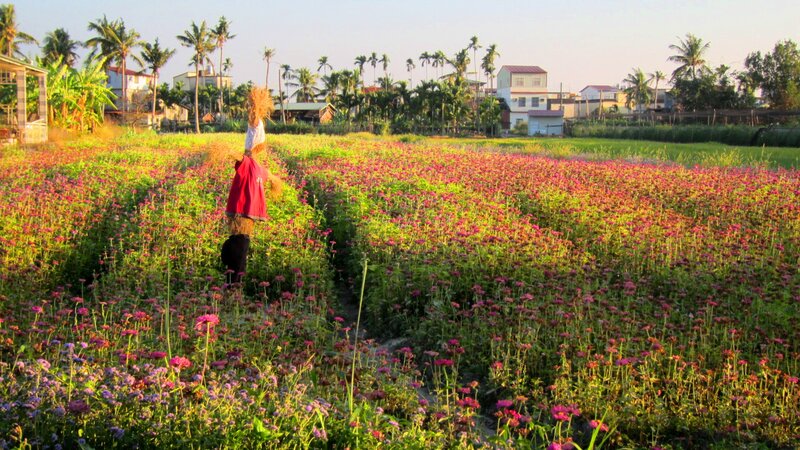 Scarecrow in Flower Field — Pink