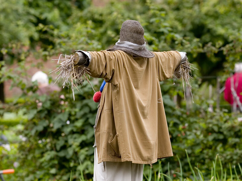 Scarecrow in Garden — Brown, Calm