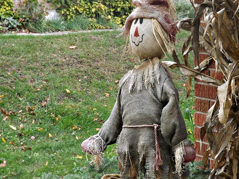 Scarecrow in Garden — Green, Calm