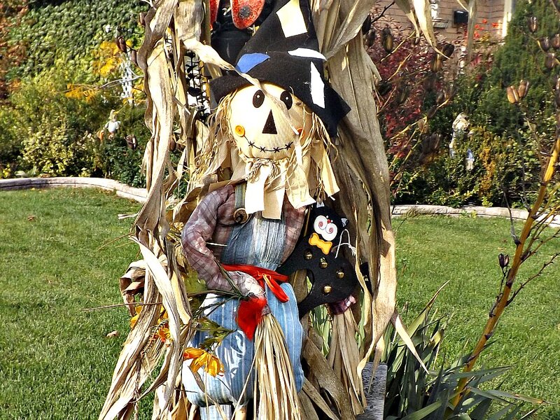 Scarecrow in Garden — Green