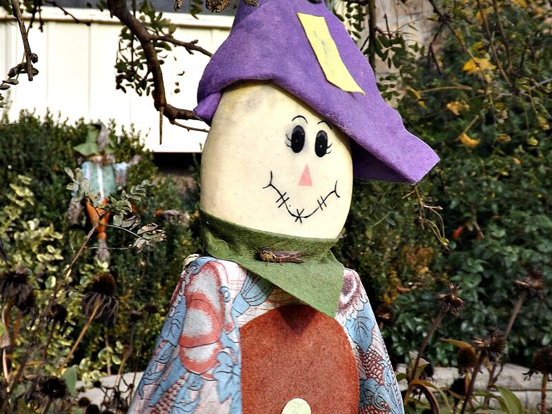Scarecrow in Garden — Purple