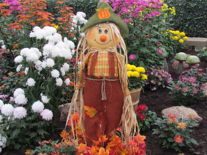 Scarecrow in Garden