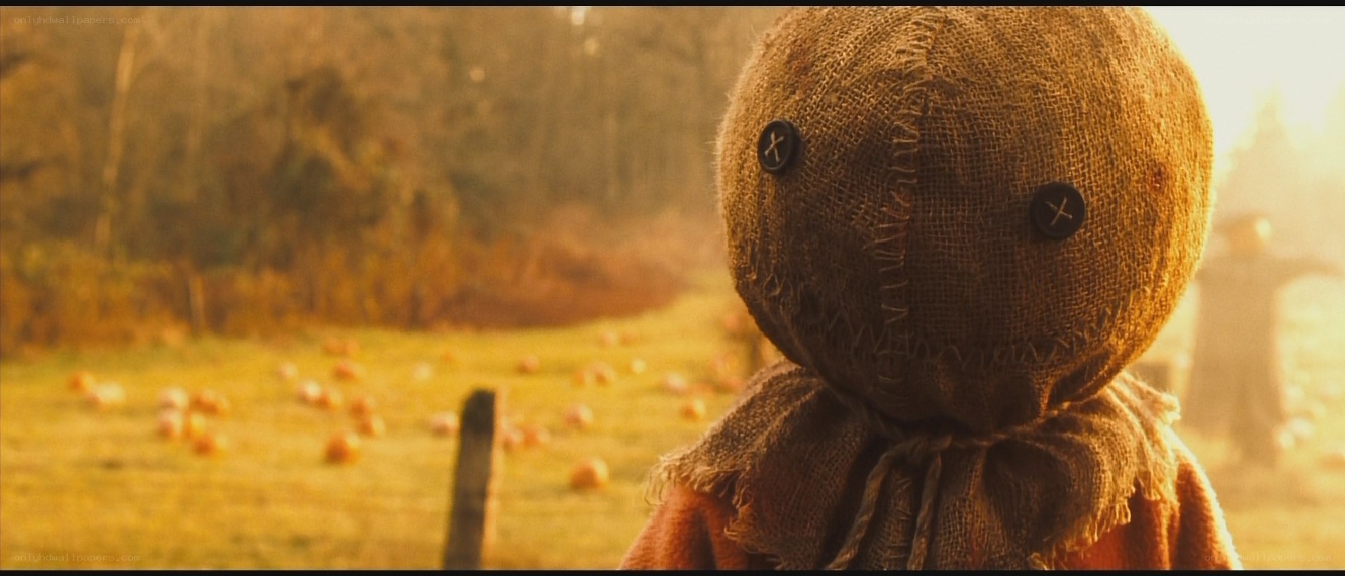 scarecrow in pumpkin field