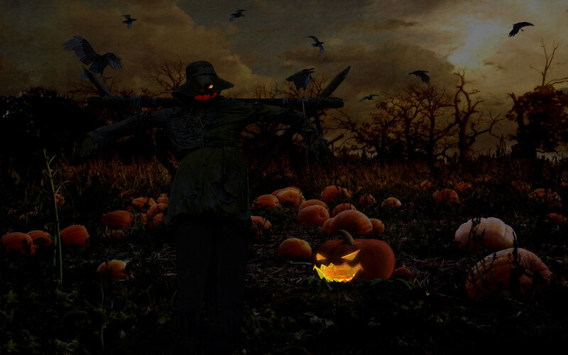 Scarecrow in Pumpkin Patch — Black, Dark, Night