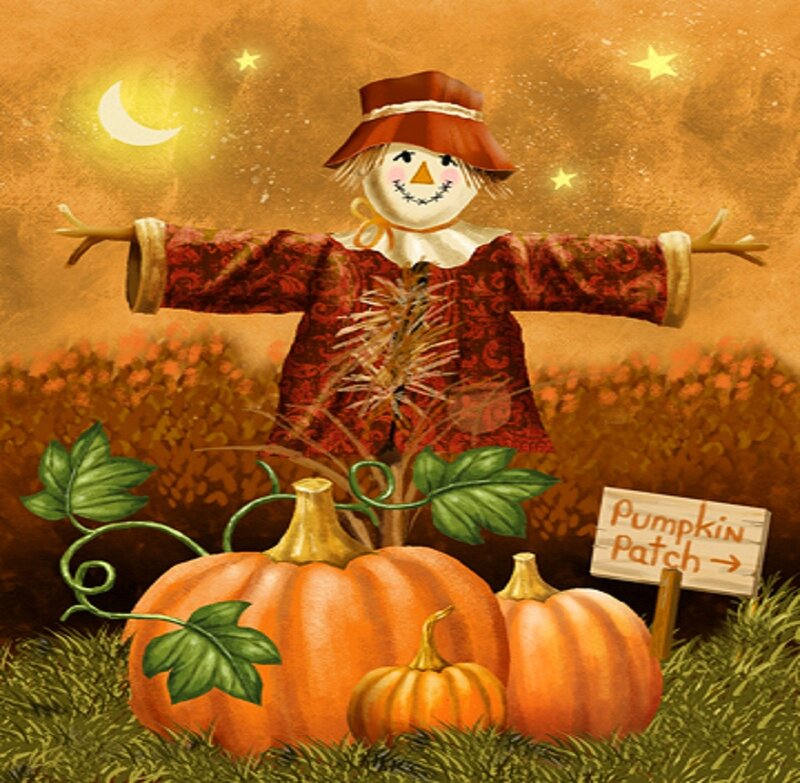 Scarecrow in Pumpkin Patch — Orange, Festive, Night