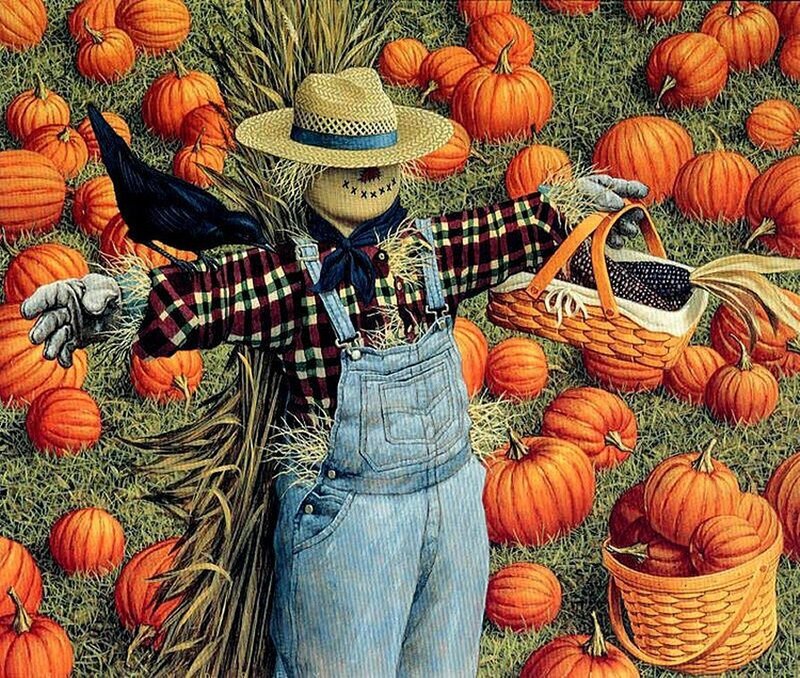 Scarecrow in Pumpkin Patch — Orange