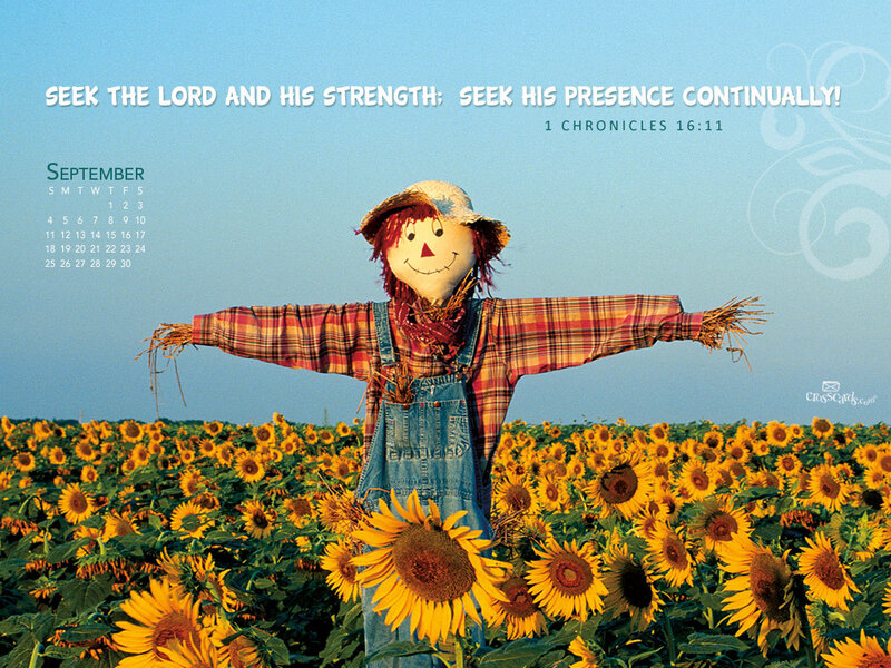 Scarecrow in Sunflower Field