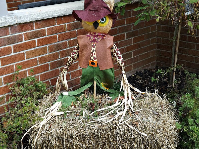 Scarecrow Owl Figure