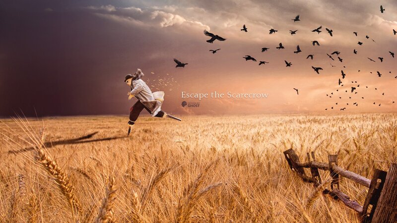 Scarecrow Running in Field