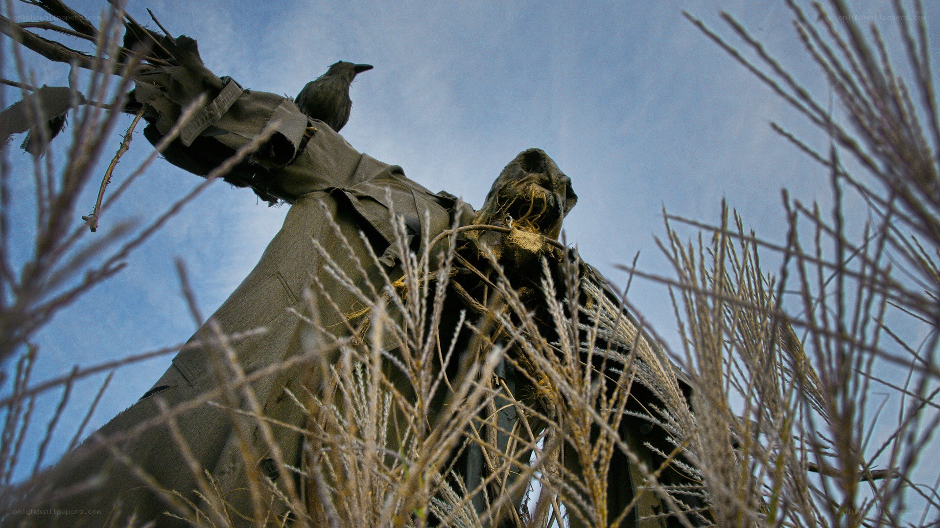 Scarecrow with crow perched