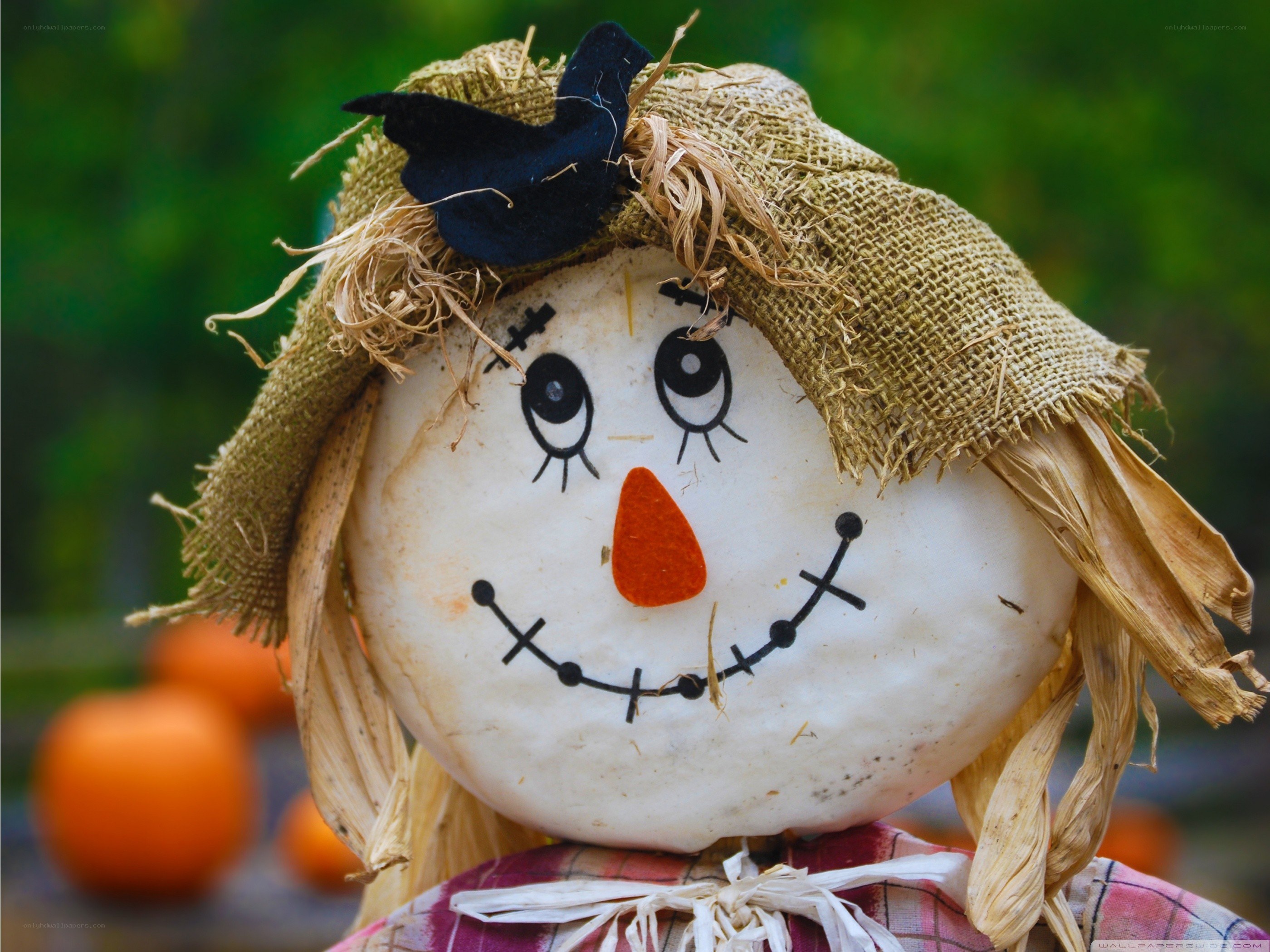 Scarecrow with pumpkin background