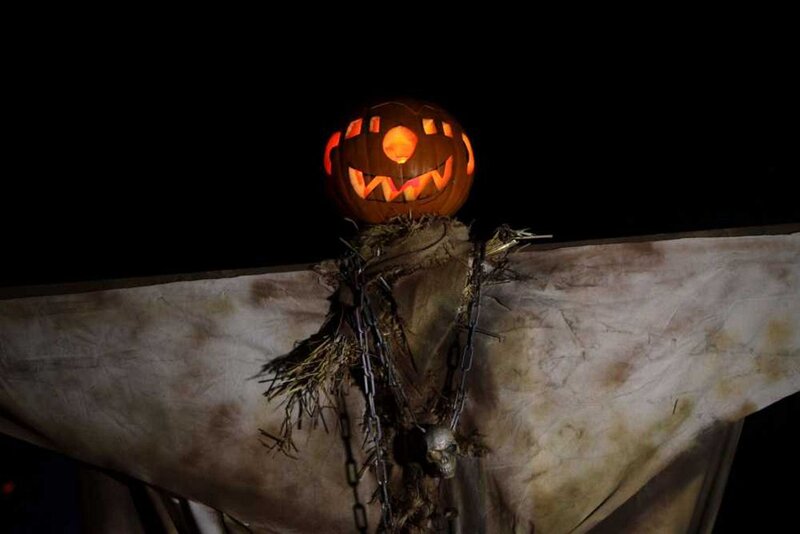Scarecrow with Pumpkin Head — Black, Spooky, Night