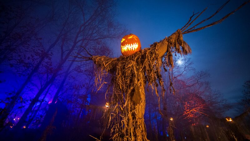 Scarecrow with Pumpkin Head — Blue, Spooky