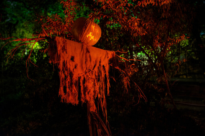 Scarecrow with Pumpkin Head — Orange, Creepy, Night