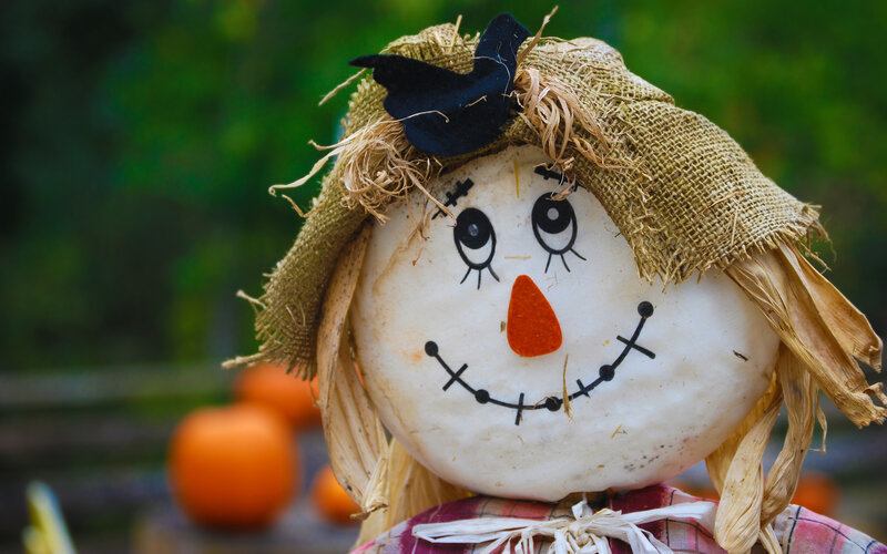 Scarecrow with Pumpkin — White