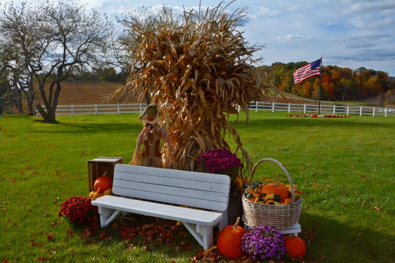 Scarecrow with Pumpkins — Green, Peaceful