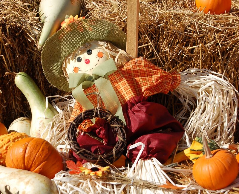 Scarecrow with Pumpkins — Orange, Festive, Autumn, Photograph, Gourds