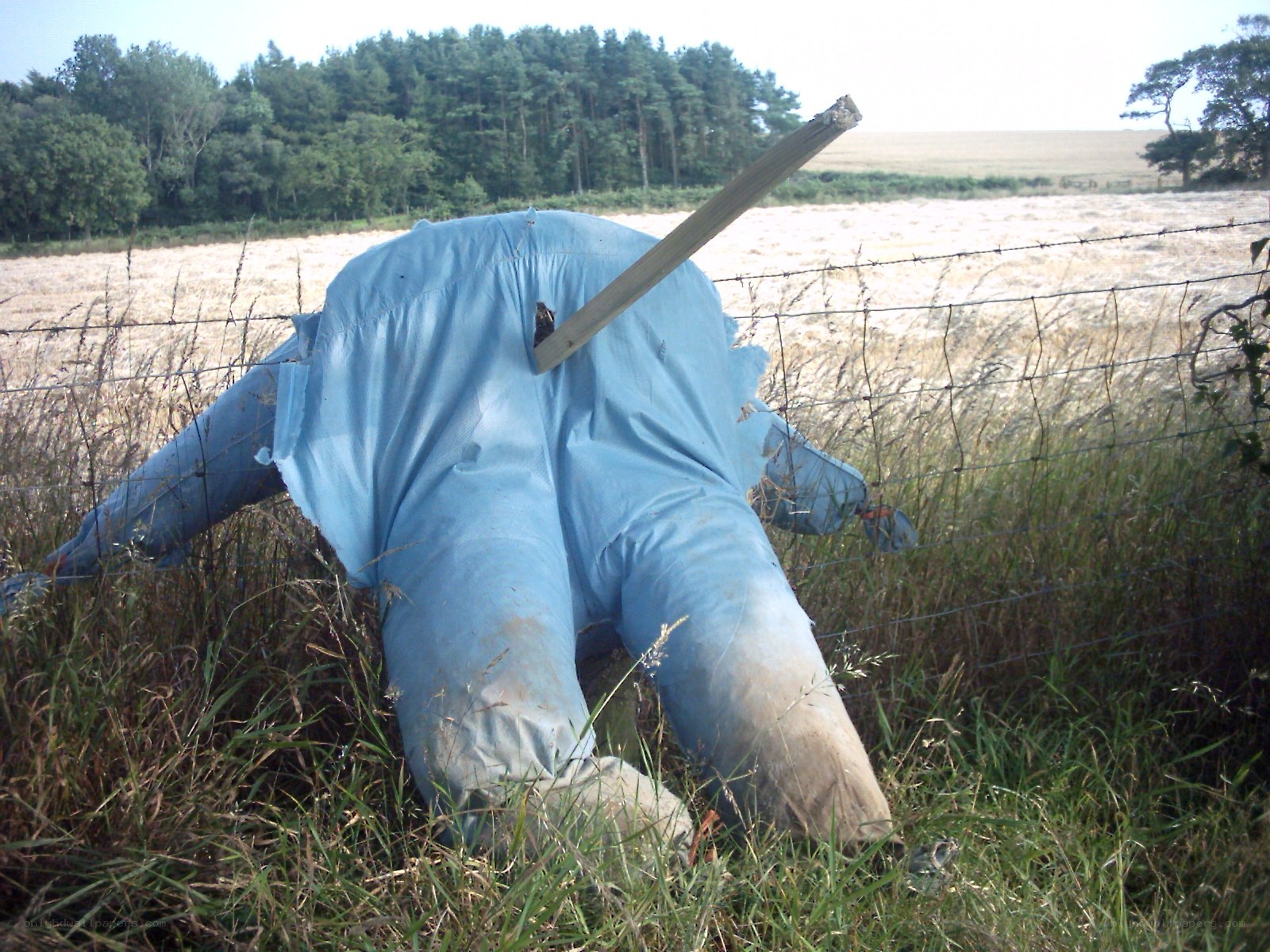 Scarecrow with stick