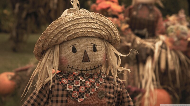Scarecrow with Straw Hat — Brown
