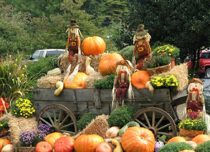 Scarecrows and Pumpkins — Orange, Festive, Autumn