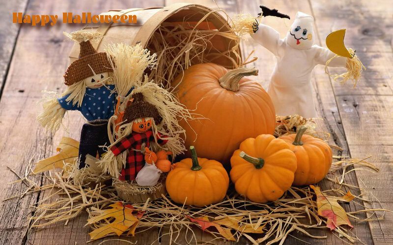 Scarecrows and Pumpkins — Orange