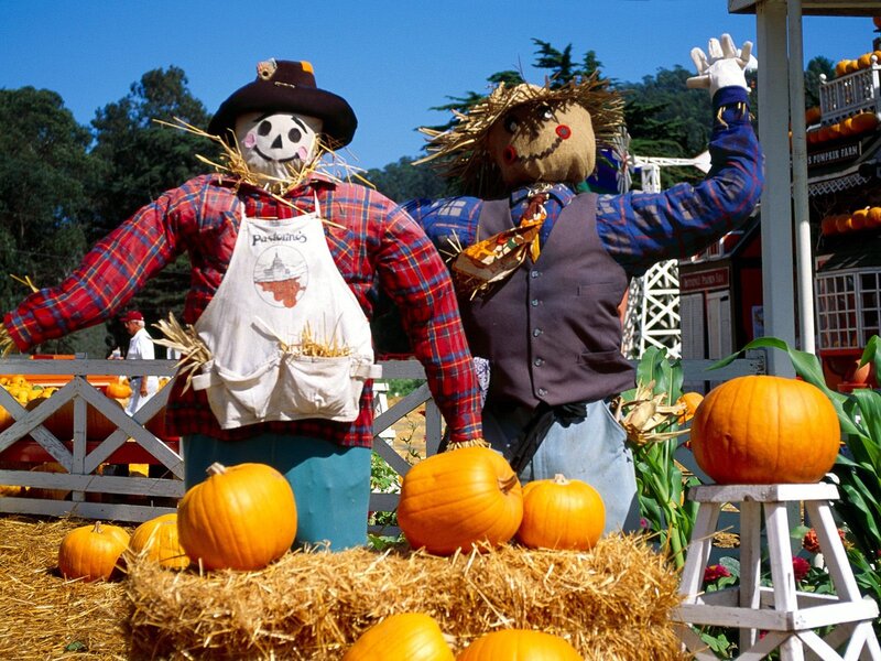 Scarecrows at a pumpkin patch