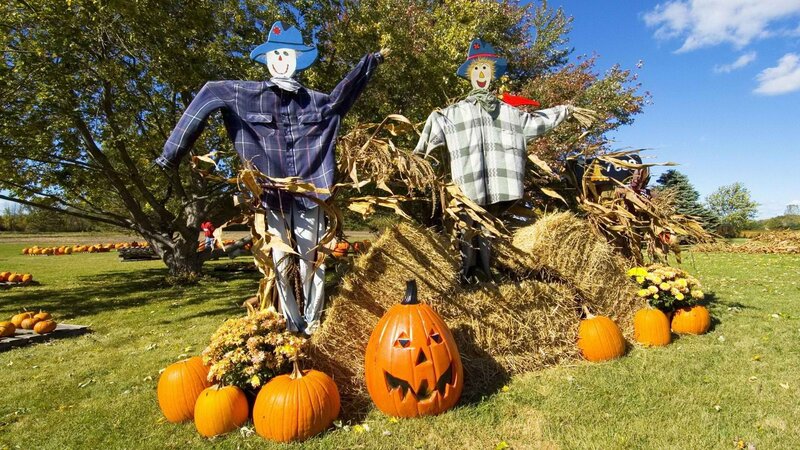 Scarecrows with Pumpkins — Orange