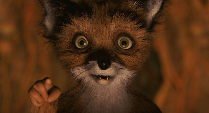 scared fox character close-up