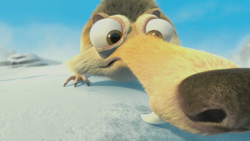 Scared sloth in snow